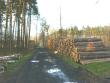 ussere Pillnitzer Strasse (24.04.2001)