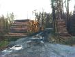 ussere Pillnitzer Strasse (24.04.2001)