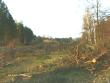 Graupaer Tnnicht (24.04.2001)